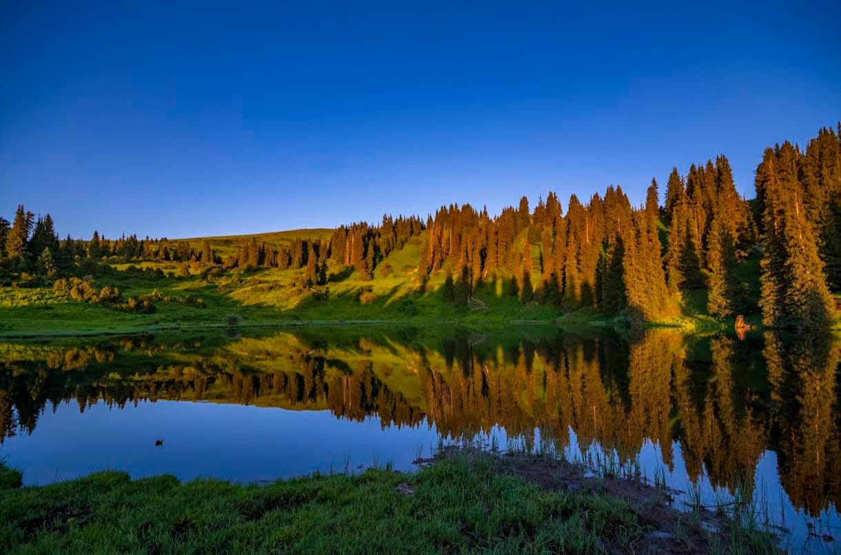 Golden hour reflections