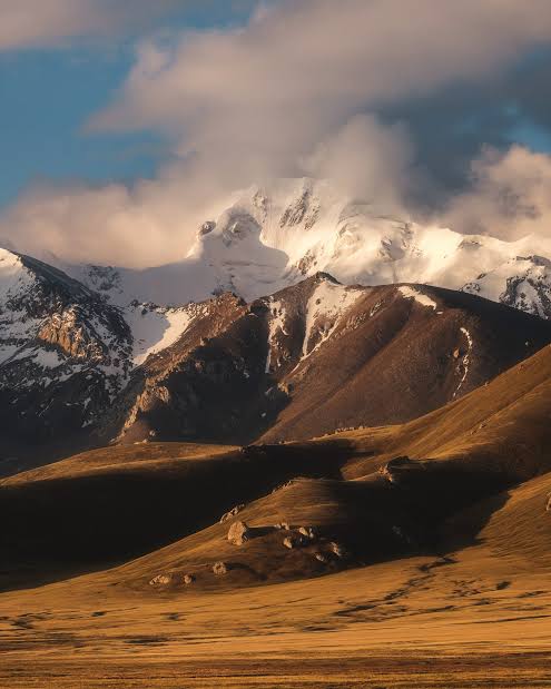 Snow-capped peak above golden alpine meadows
